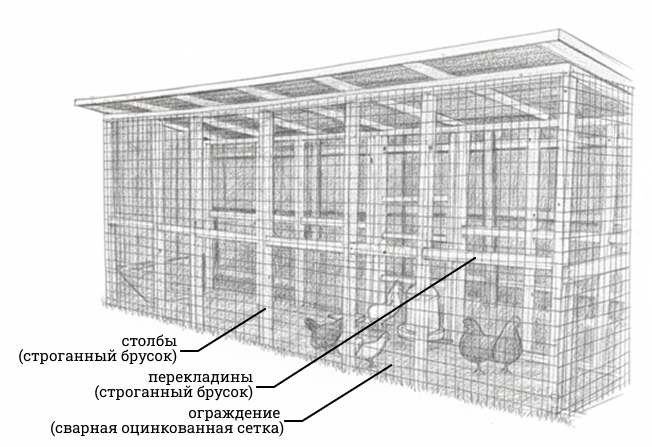 Птичий двор