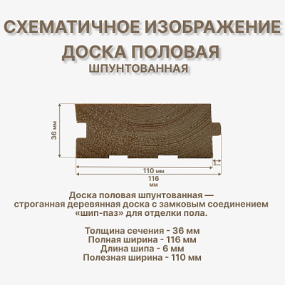 Доска половая шпунтованная 36х116х6000 мм - фото 2