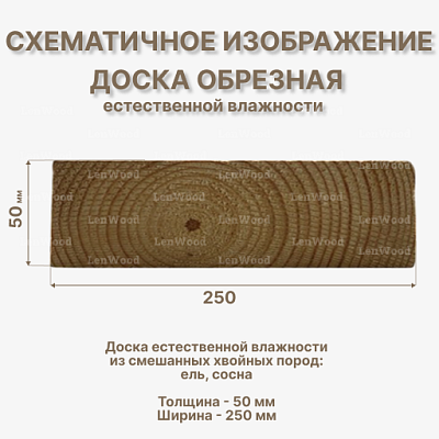 Доска обрезная 50*250*6000 мм естественной влажности - фото 2